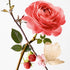 Rose Pompon Eau De Parfum